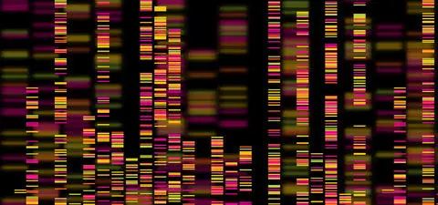 CRISPR's Brave New World