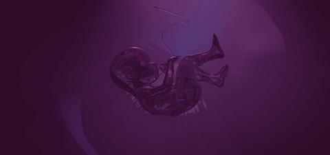 The radical future of humanity without childbirth