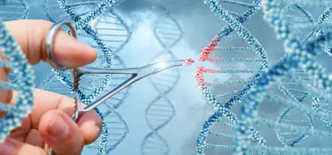 The false promise of human gene editing